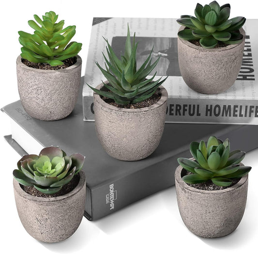 Mini Artificial Succulent Plants in Pots - Stylish Faux Decor for Home & Office