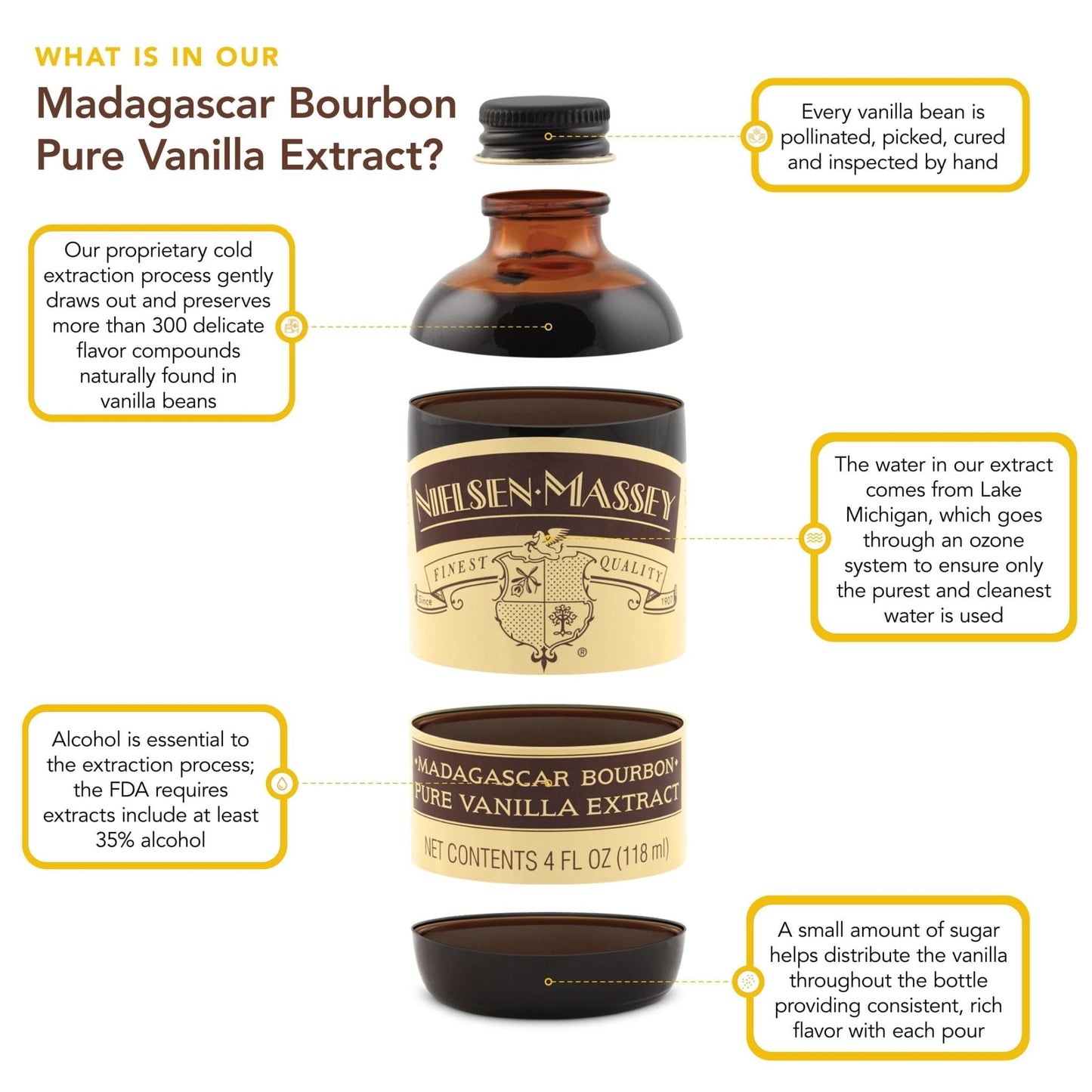 Madagascar Bourbon Pure Vanilla Extract – Premium Grade A Vanilla - ChillShop