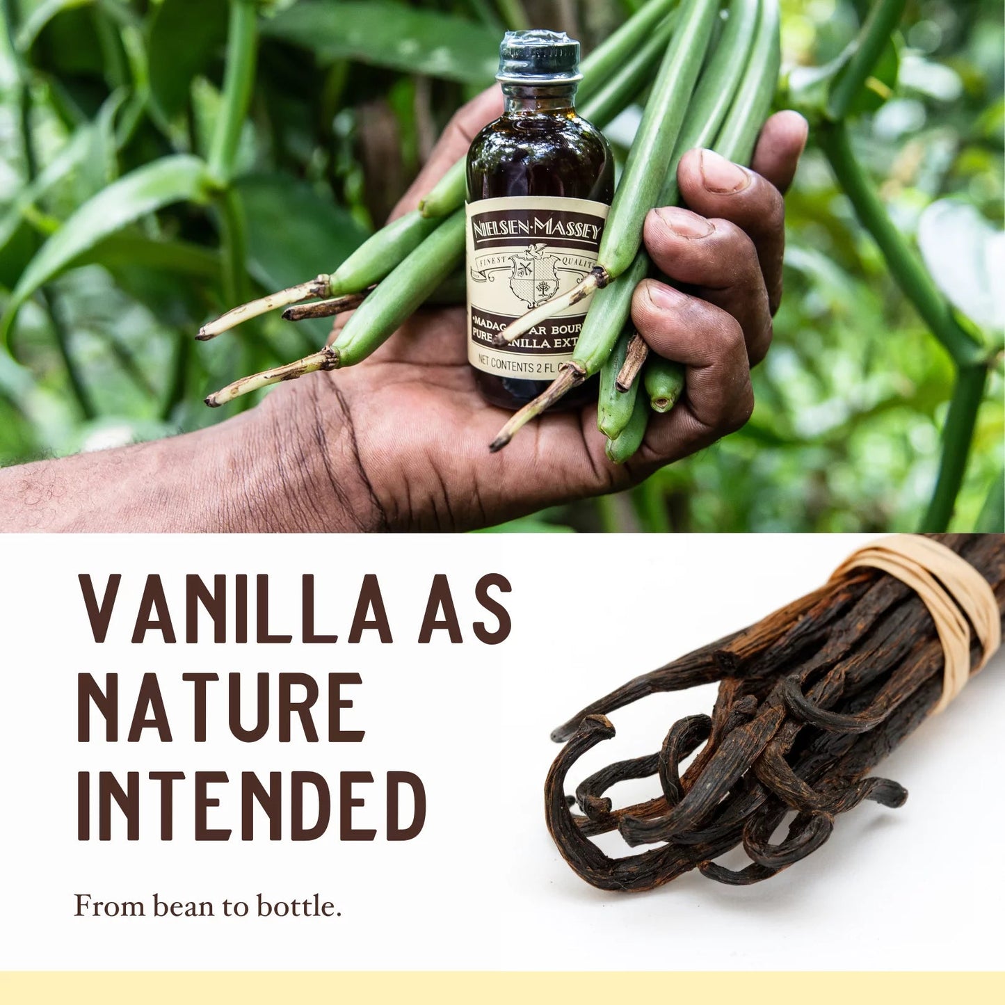 Madagascar Bourbon Pure Vanilla Extract – Premium Grade A Vanilla - ChillShop