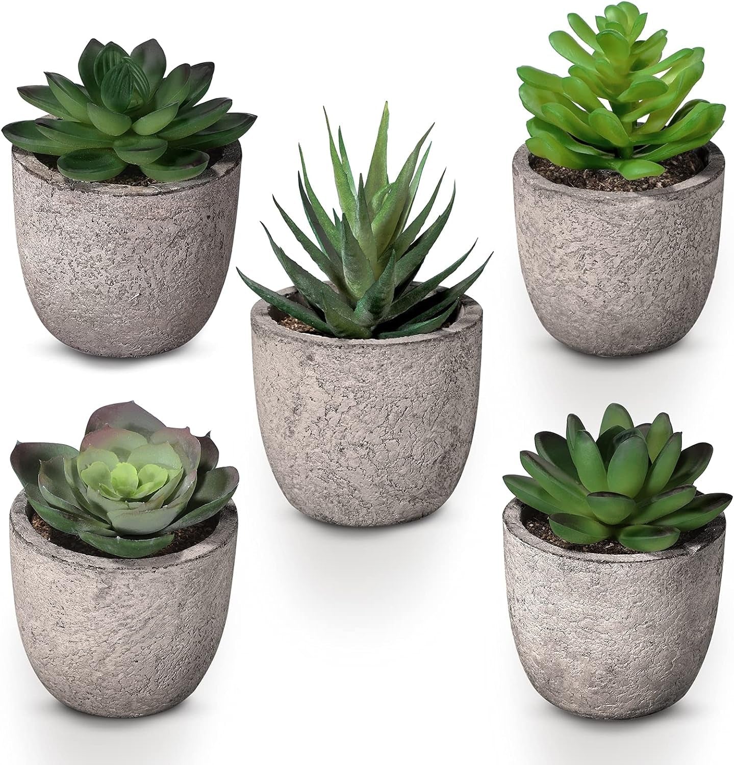 Mini Artificial Succulent Plants in Pots – Lifelike & Hassle - Free Decor - ChillShop