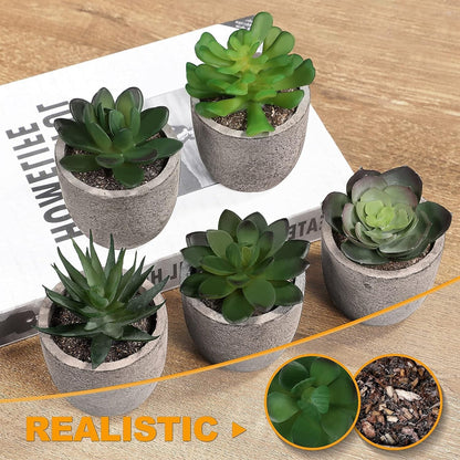 Mini Artificial Succulent Plants in Pots – Lifelike & Hassle - Free Decor - ChillShop